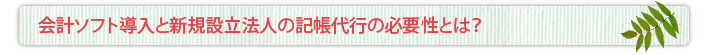 会計ソフト導入と新規設立法人の記帳代行の必要性とは？
