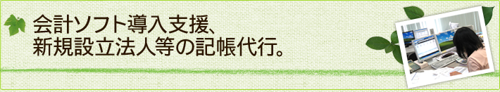会計ソフト導入支援、新規設立法人等の記帳代行。